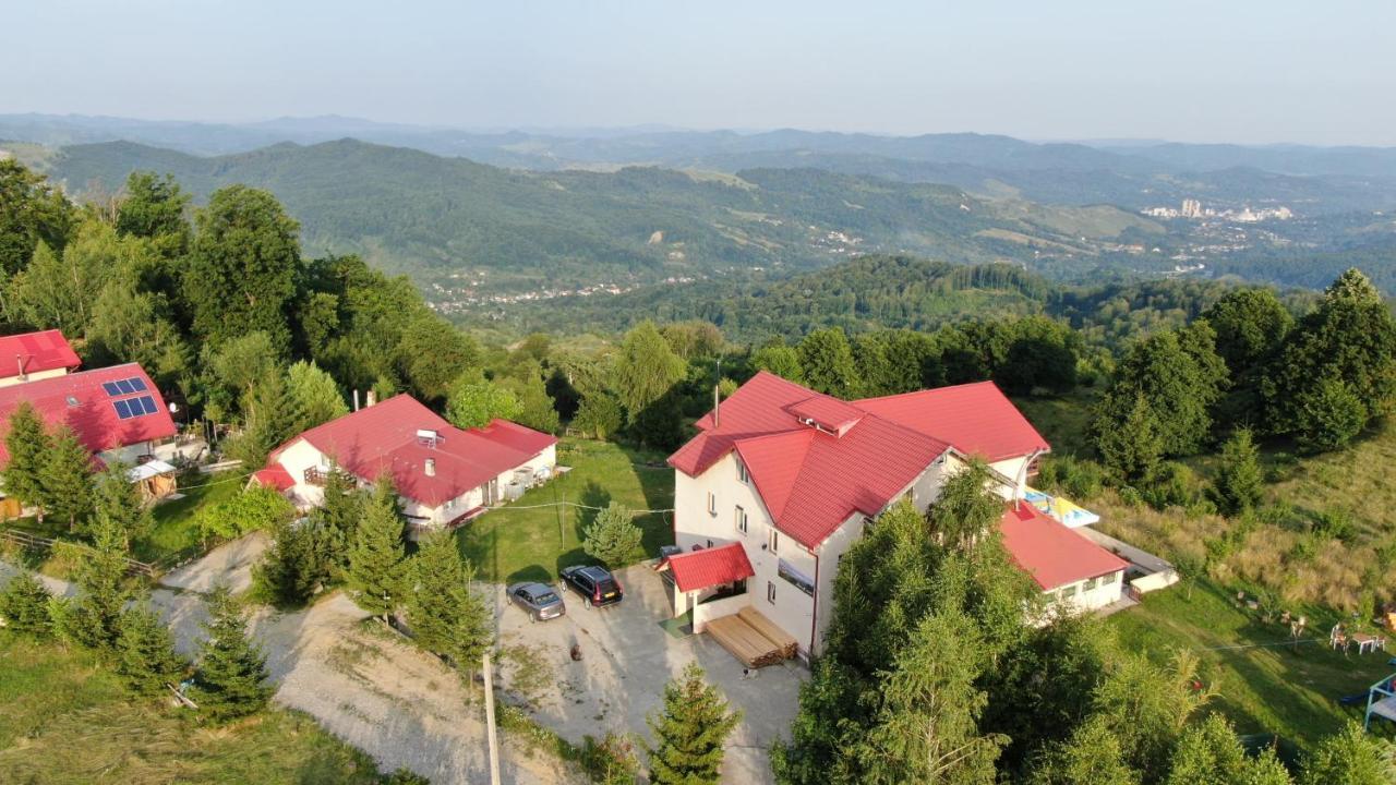Pensiune Runcu Stone Exterior photo