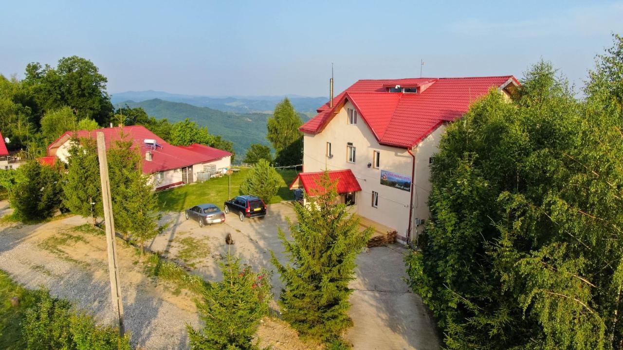 Pensiune Runcu Stone Exterior photo